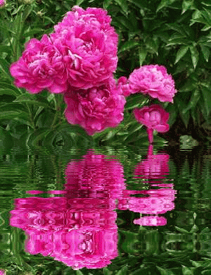 你要的欢笑用一季的彩霞为您祈祷祈祷您在每一个平凡的日子苦中有甜