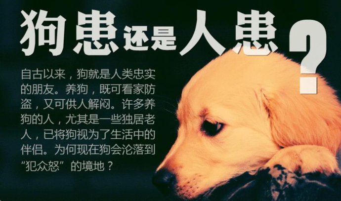 狗患,狗咬主人,女不养狗,皮开肉绽