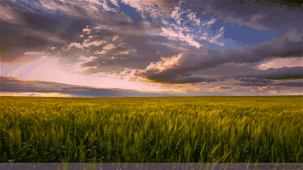 秋天|我想把一整个秋天送给你