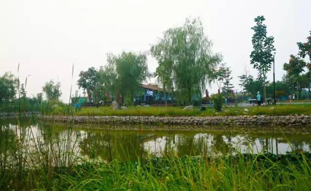 月湖招聘_工会送 岗 ⑥丨最新招聘信息汇总 工资高 待遇好 福利多