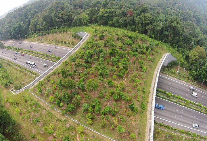 荷兰北省人口_荷兰地图图片省(2)