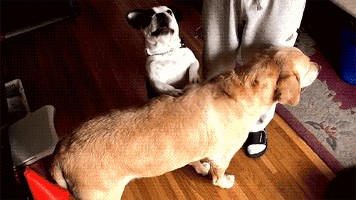 腾讯内容开放平台