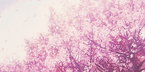 500_249gif 动态图 动图