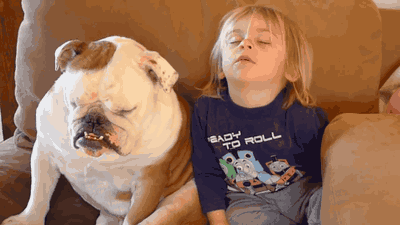 睡眠|不是我不起床，是被子把我封印了！