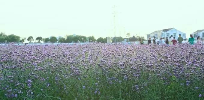 宜兴在住人口_宜兴竹海