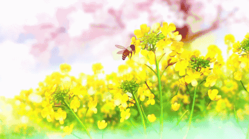 漢中油菜花節(jié)各縣區(qū)觀花線路公布！插圖13