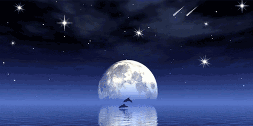 500_250gif 动态图 动图