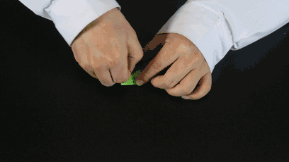 408_230gif 动态图 动图
