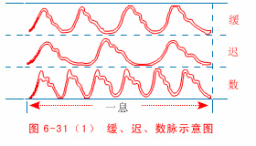 脉诊之阴脉