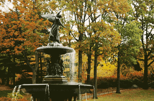 秋|听说，秋天是遗憾最多的季节