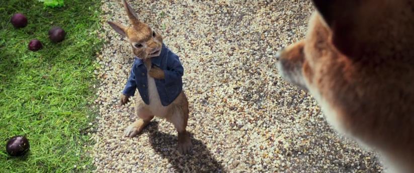 闹腾的动物朋友们 索尼新片《彼得兔》预告公开