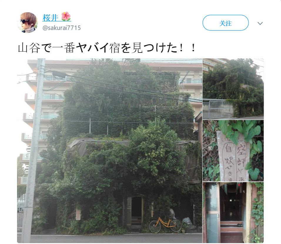 东京有个“废弃”森林旅馆 充满吉卜力味道
