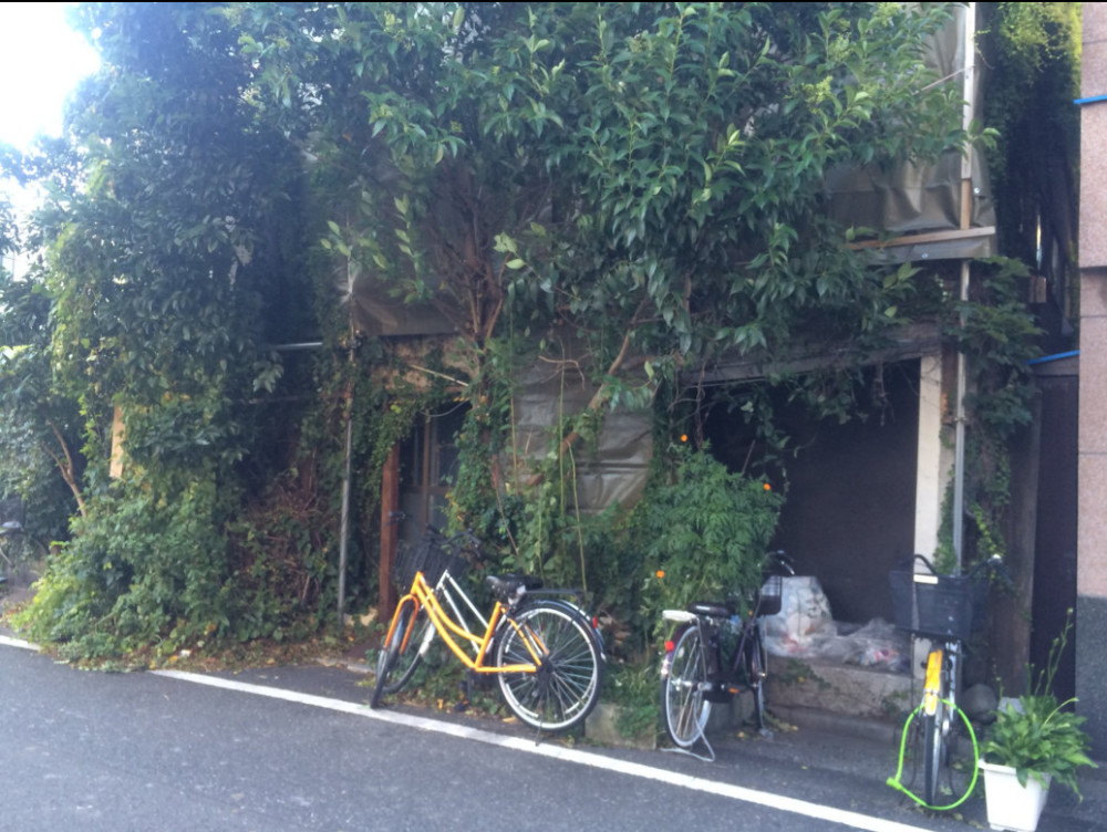 东京有个“废弃”森林旅馆 充满吉卜力味道