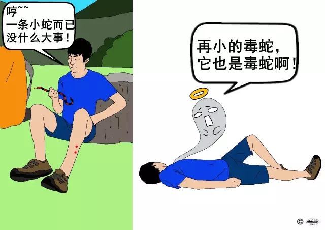 眼镜蛇功效与作用_眼镜蛇的功效作用_蛇胆汁的功效与作用