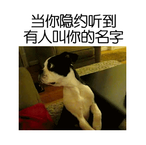 搞笑gif一个好女人怎么坐都不会坐在自己男人的肩膀上