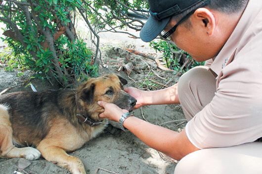 台湾海军士官虐狗遭曝光 队犬被打得头破血流