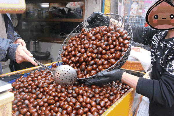 腾讯内容开放平台