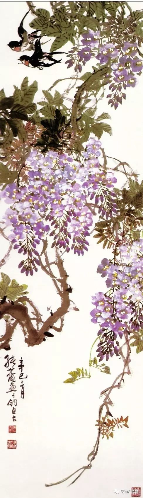 紫藤花的画法视频