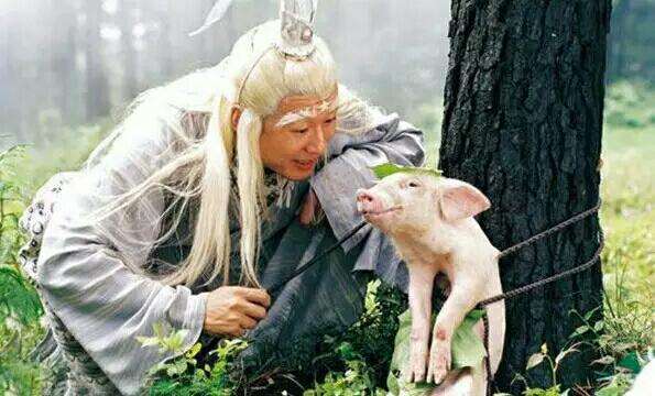 还记得《春光灿烂猪八戒》的太白金星吗?如今56岁帅到不敢认