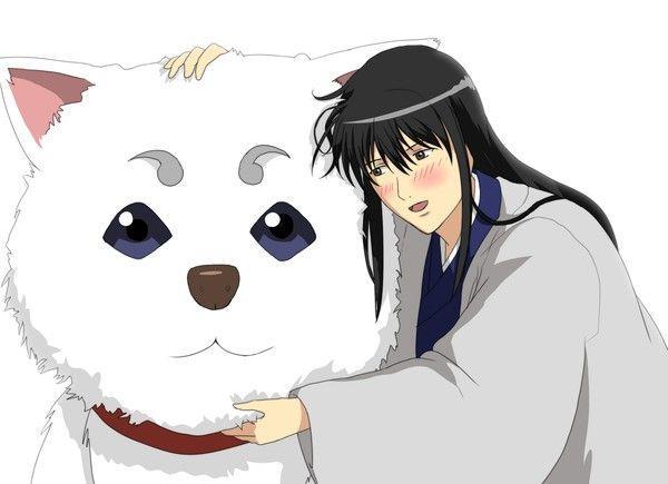 日本评动画最受欢迎笨蛋角色