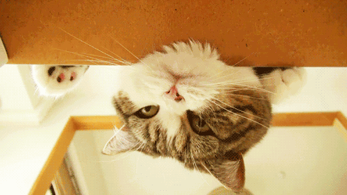 心理健康|5种情绪最“减寿”！涉1.2万人研究：心理健康的人活得更久