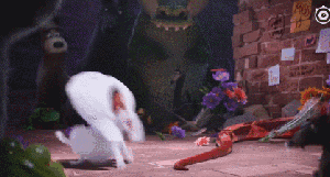 300_161gif 动态图 动图