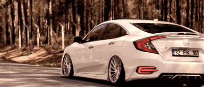 太亏了!太亏了!这不相当于一辆拉hong,骚气的思域吗?