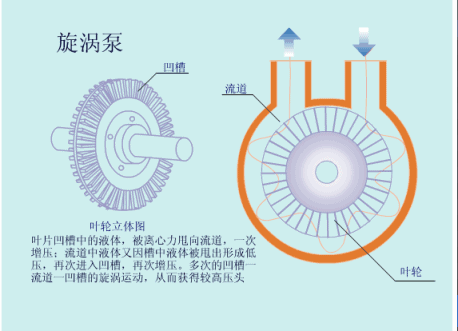 离心泵|总结了19种泵的工作原理，看图就懂！