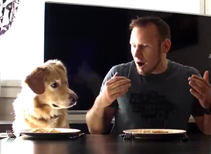 男主妄图跟金毛比吃饭,速度不及万分之一哇!