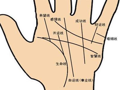 手掌财运线看你是否有钱人 手相 财运线 手纹 钱财 面相