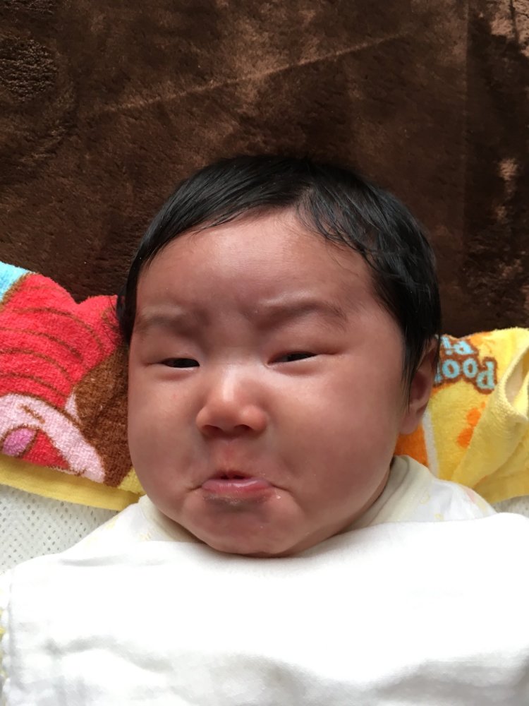据说现在流行拍丑照，看到这些丑照真是笑到停不下来