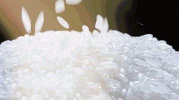 大米|你知道大米香、软、糯、甘的口感都是由谁决定的吗？