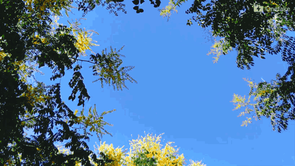 这个季节,阳光正好,微风不燥.