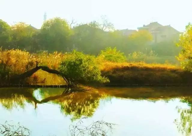 手机摄影作品欣赏-225