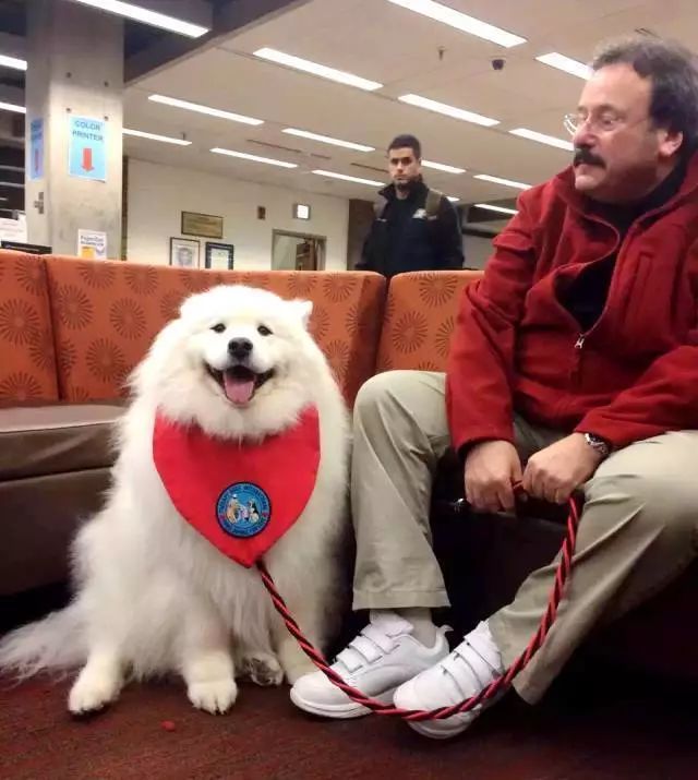 Final考不好不怪你,你上的或是考试最变态美国