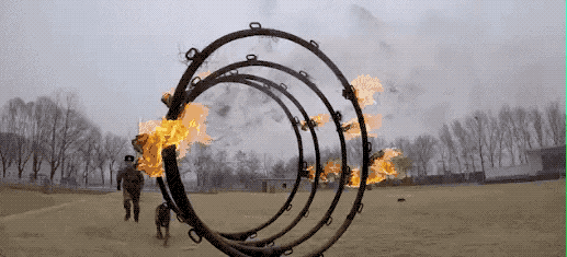 "谢谢你,我的青春喂了狗.