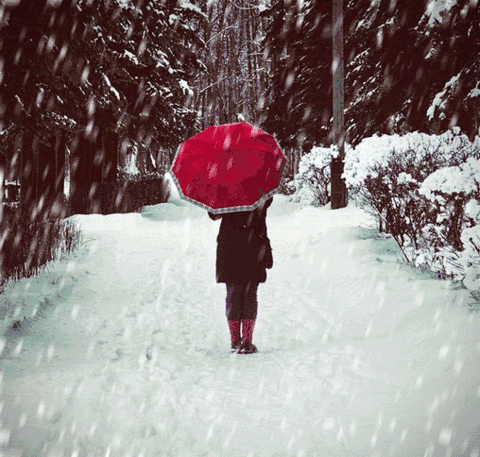 廊坊局部雨夹雪,请防范!