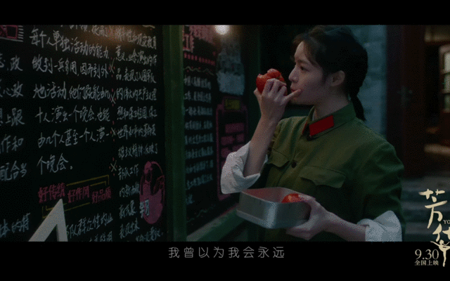 钟楚曦|这么清醒又努力的宝藏女孩真的太让我上头了