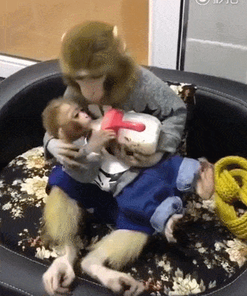 361_433gif 动态图 动图