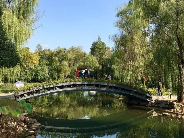 手机摄影作品欣赏-225