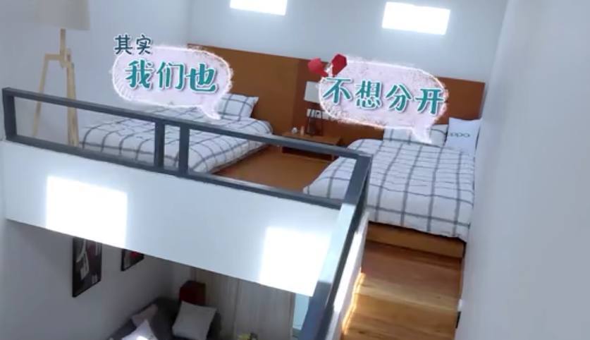 应采儿夫妇分床睡,并非陈小春不解风情,其实是