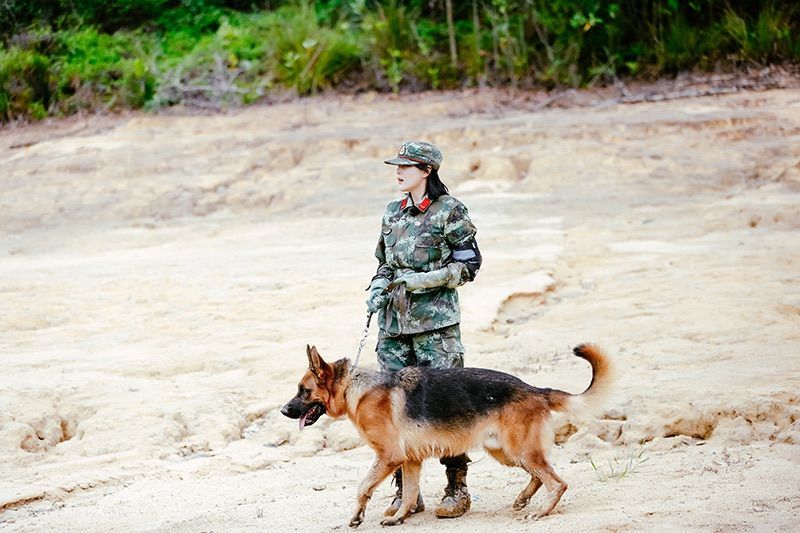 奇兵神犬 泥潭救犬波折不断 杨烁匍匐前进杨朵兰勇救 宝珠