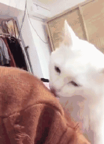 陈伟霆|陈伟霆公布臀围，被赞“男版卡戴珊”