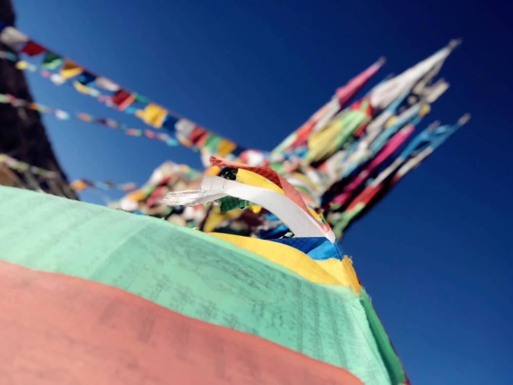 修行进步的标准是什么?以德报怨是修行更是福