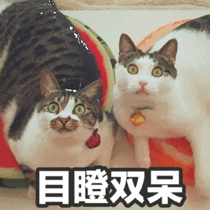 300_300gif 动态图 动图