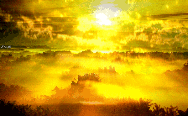 愿你的生命中有足够的云翳来造成一个美丽的黄昏.