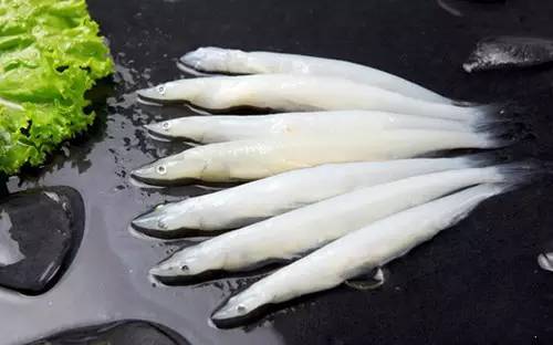 唐伯虎喜欢的双凤爊鸡你会喜欢吗?