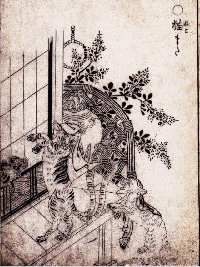 异世录猫妖古代都是如何成精的