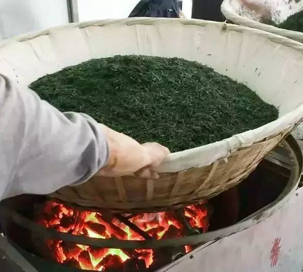 【老张说茶】老张说绿茶