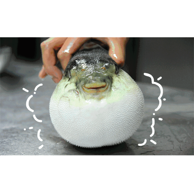 750_696gif 动态图 动图